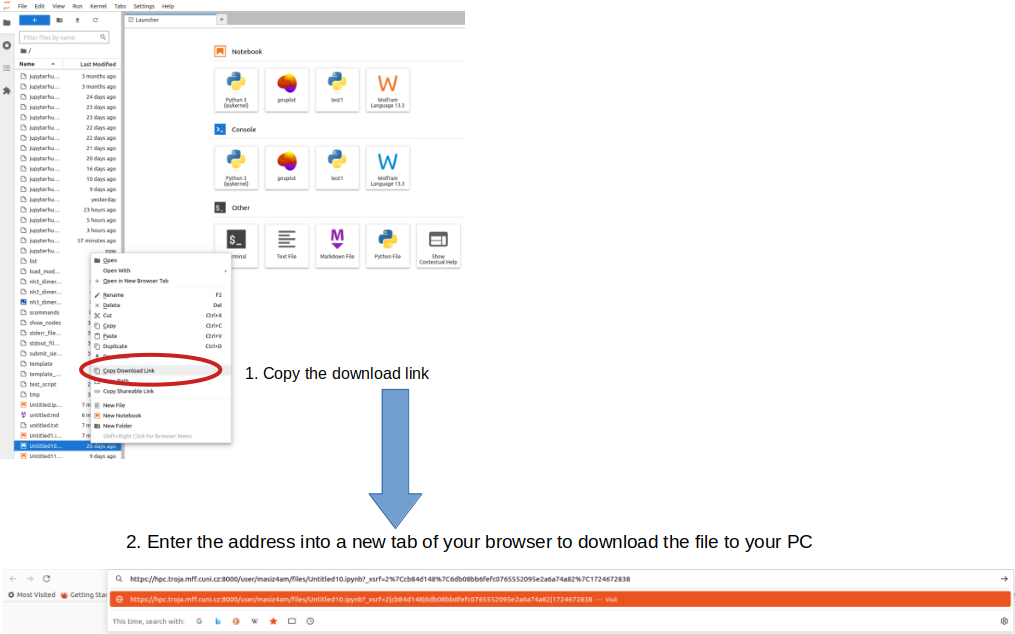 Download files Fig.1